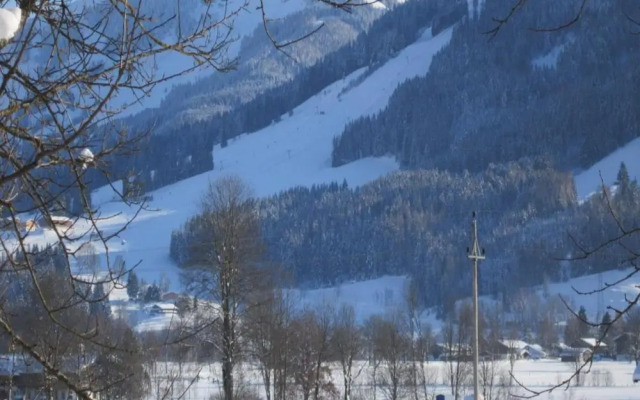 Apartment in Saalfelden Near Ski Slopes