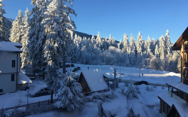 Iceberg Apartment 50