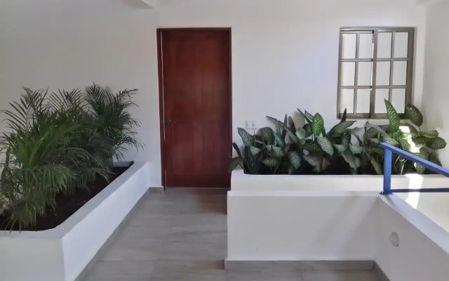 Meraki Hostal Playa - Hostel