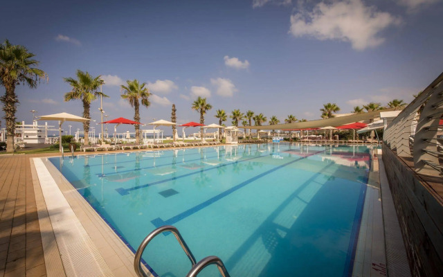 Rimonim Palm Beach Acre