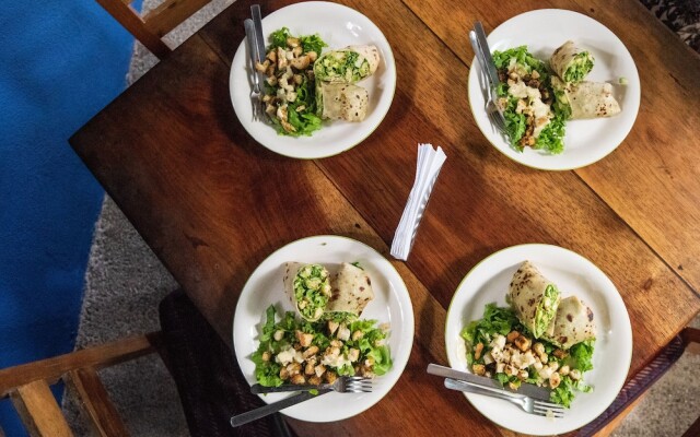 Jungle Lodge at Wild Sun Rescue