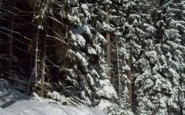 Gutsweg One - Apartment 3