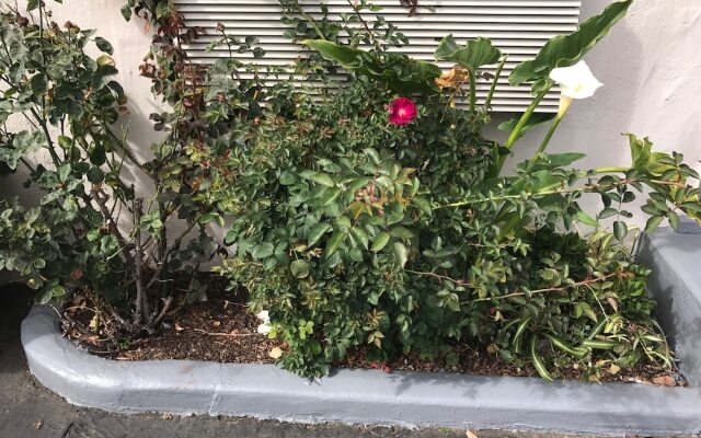 Geneva Motel Daly City