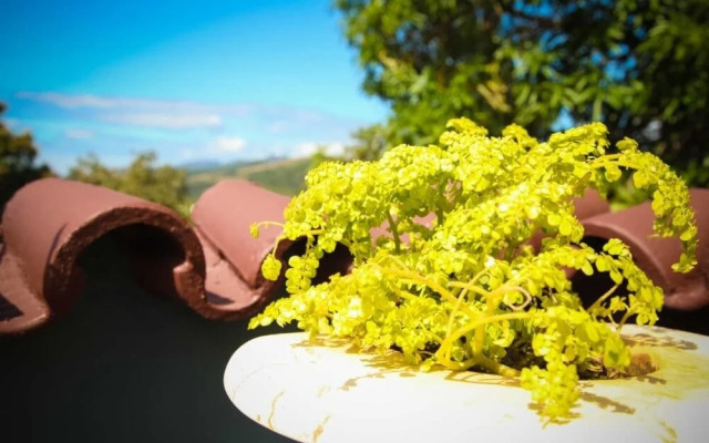 Sombrilla ft Mansion Cantero - Adults Only