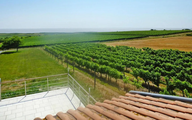 Holiday Home in Chenac With Stunning Terrace Views