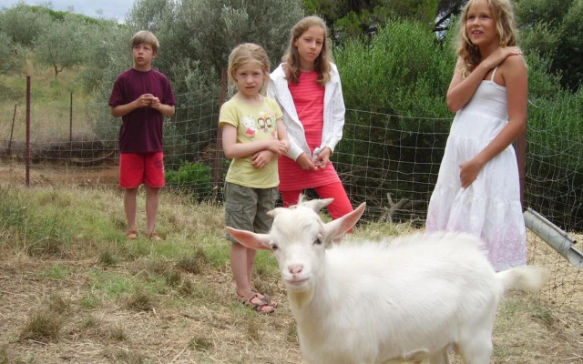 Agriturismo Le Serre