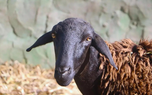 Santuário Hotel Fazenda