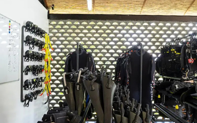 Deep Roots Dive & Yoga Resort