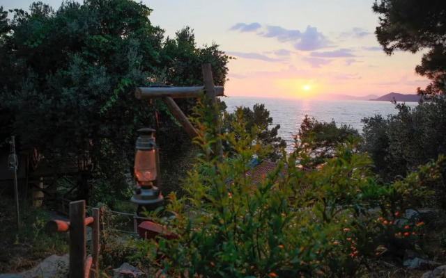 Perdue Hotel Adults Only