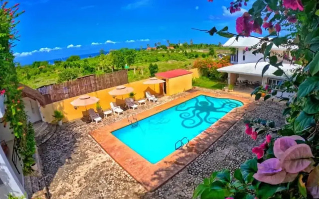 Divers Lodge Plumeria