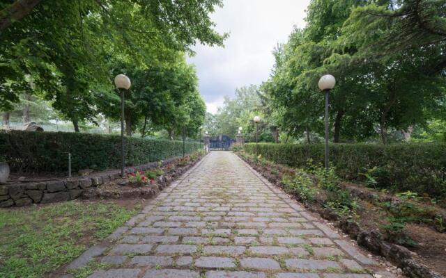 Il Castagno dell'Etna