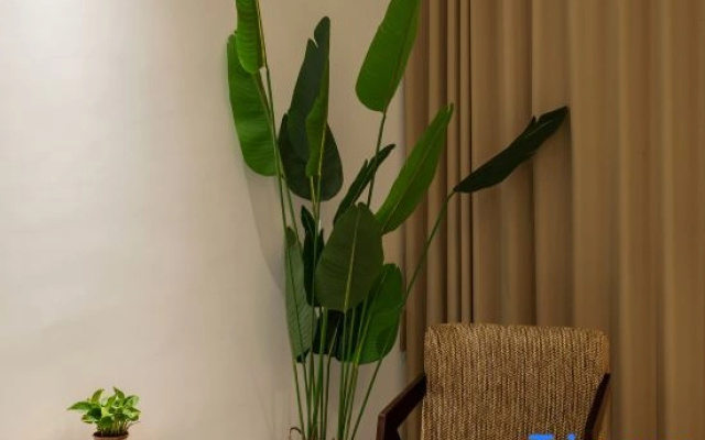 Tujia Homestay (Sanqingshan Tourist Highway)