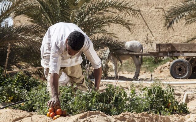 Taziry Ecolodge & Sustainable Village