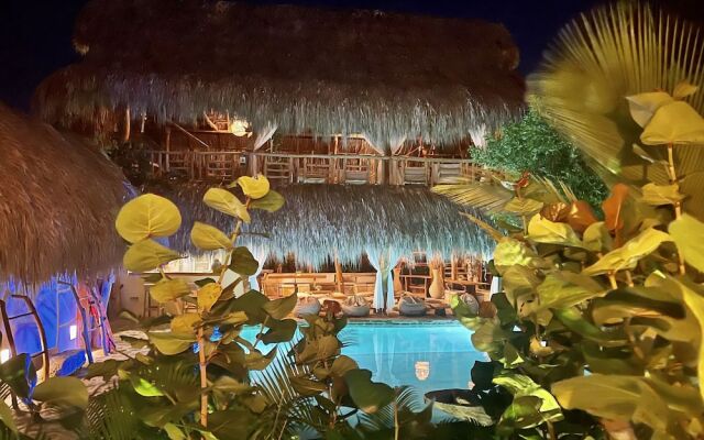 Ecoxata - Adults Only