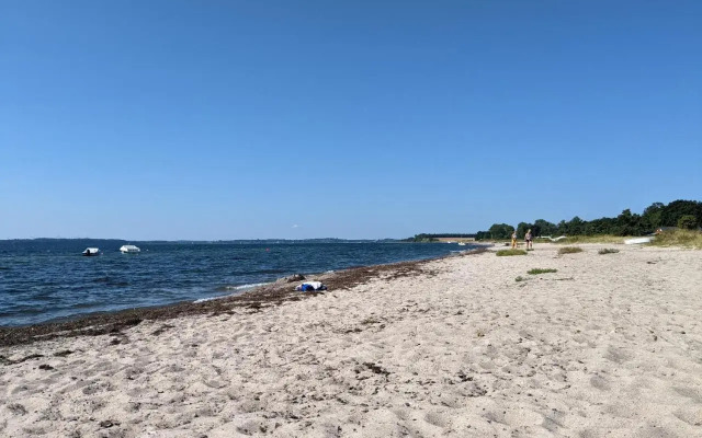 Taubennest