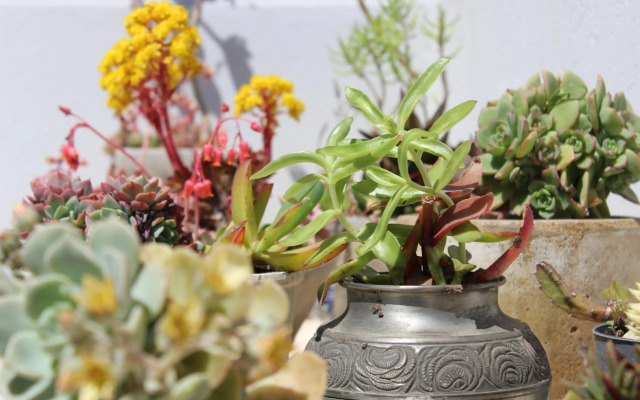 Triplex con terraza única a 50 mts del mar