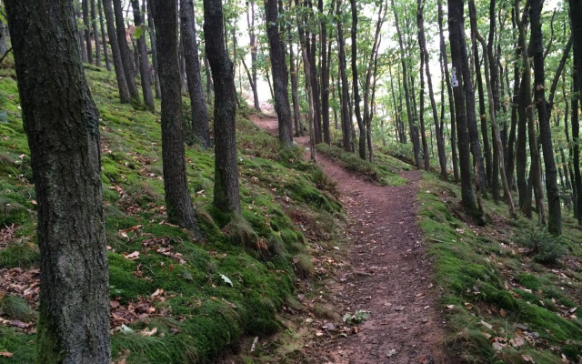 Ferienwohnung-Geschwind