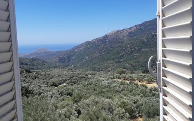 view home