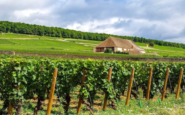 voco Beaune – Cité des Vins by IHG