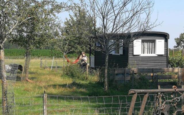 boerderijkamer Zwanebloem
