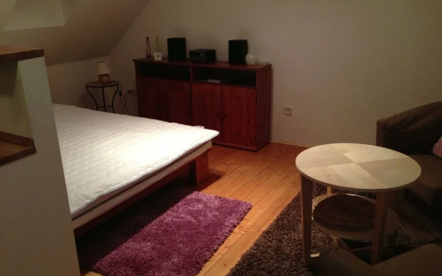 Metropolis Prague Apartments(Zlatý Dvůr)