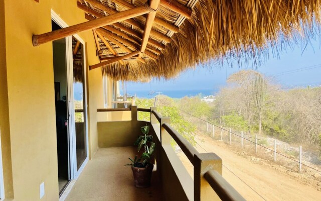 bonobo living apartments