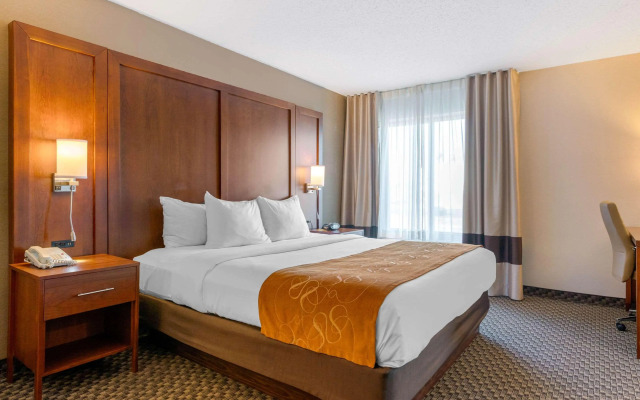 Comfort Suites South Haven near I-96