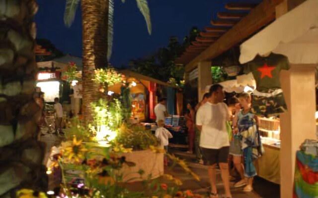 Douce Quiétude - Campsite