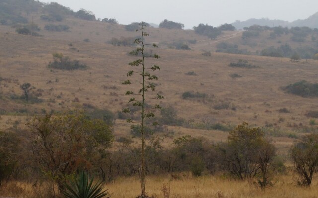 Klipspringer Lodge