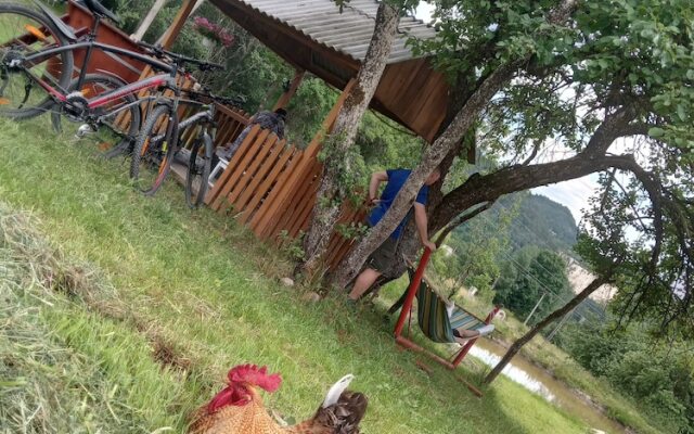 Room in Guest Room - Rural Holiday Transylvania