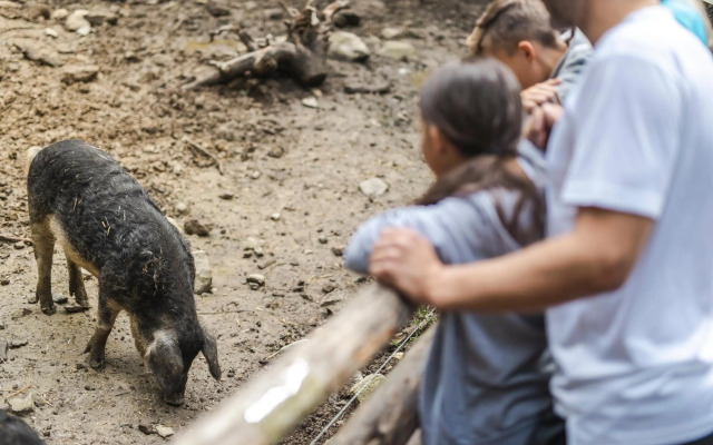 MyHome Apartments Umhausen