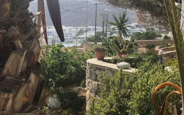 Mykonos Scorpion Beachfront Suites