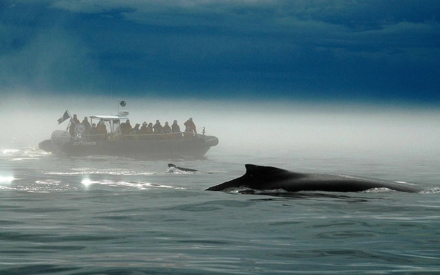 Hotel Motel Le Beluga