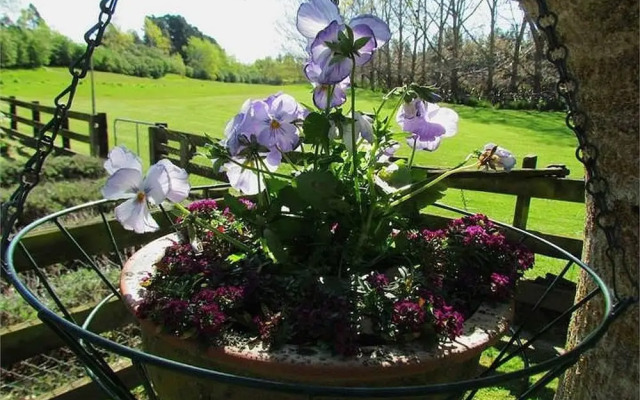 Christchurch City & Country Cottages - Clarence Cottage