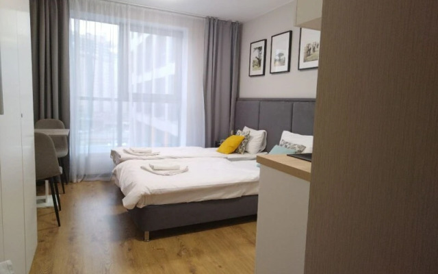 New Piter Старт