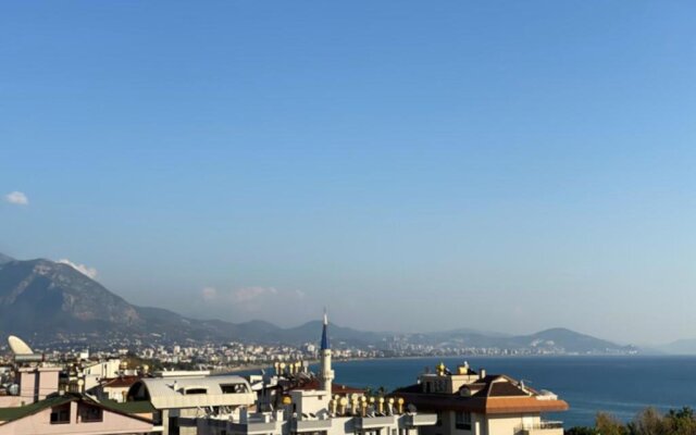 1+1 new cozy apartment in the Center of Alanya.