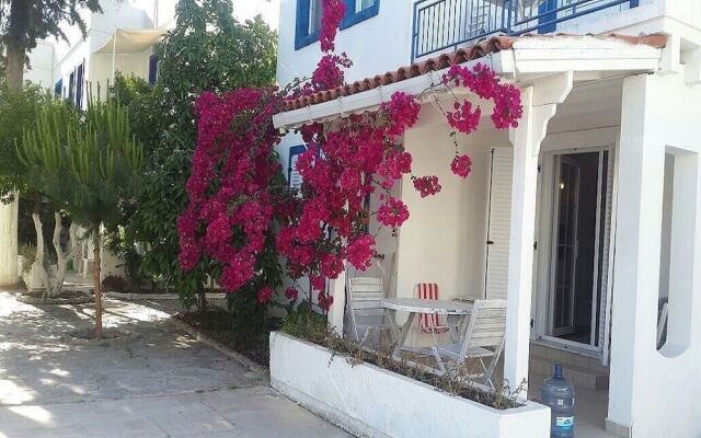 BO096 by Villaofsummer