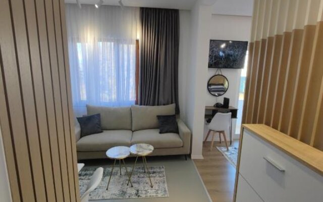 Fully equipped apartment in the city center with a lake view
