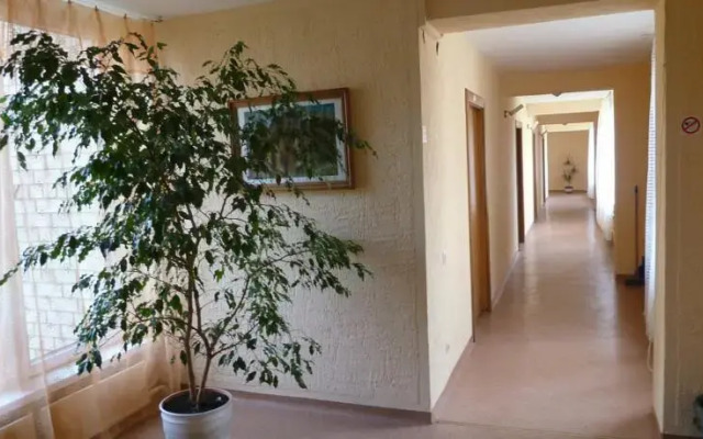 Žara