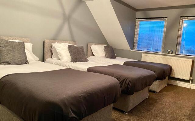 Alpheus Living: Newsham Apartment