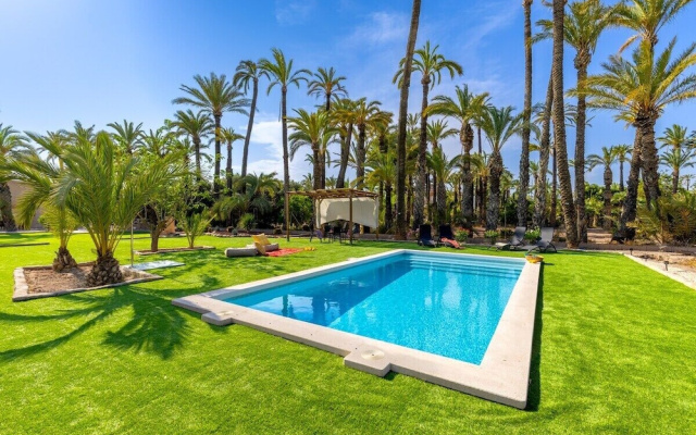 Historical Palms by Fidalsa