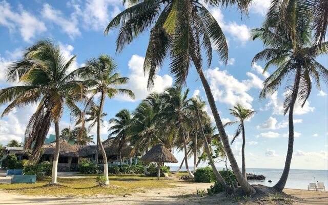 Costa de Cocos Xcalak