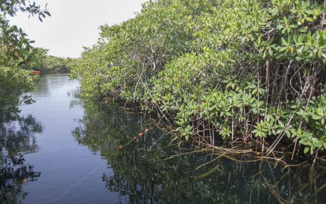 Maya Cabanas & Cenote Tulum