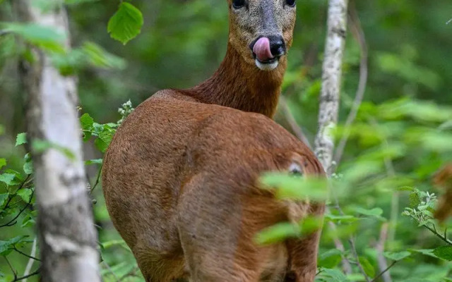 Your Nature Eco Resort