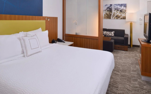 SpringHill Suites by Marriott Durham Chapel Hill