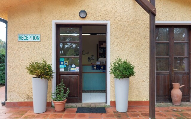 Sunlit Holiday Home in Guardistallo With Swimming Pool