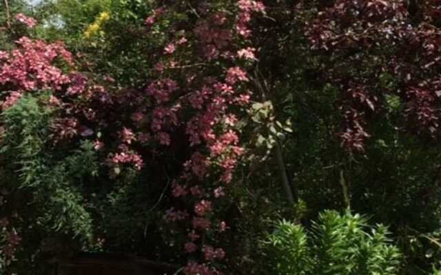 Rendham Hall Bed & Breakfast