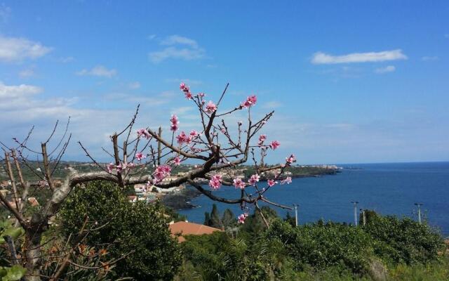 Casa Vacanze Residence Maia Volcani