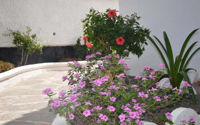 Alsol Las Orquideas