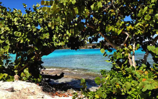 Sapphire Sanctuary by the Sea